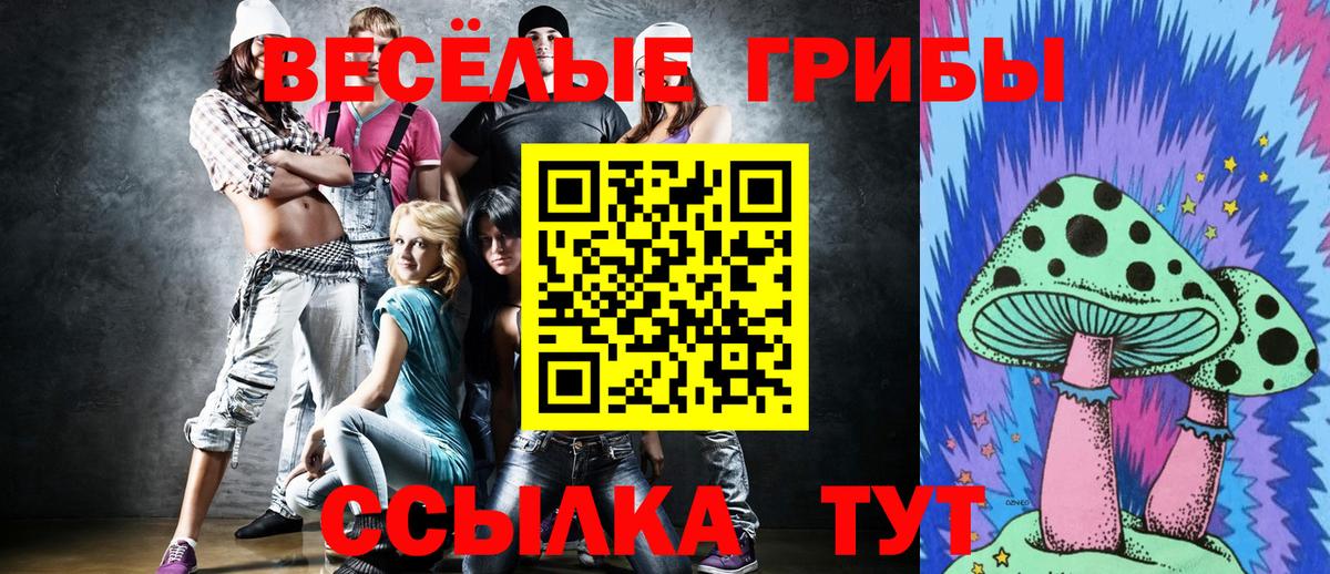 Галлюциногенные грибы прущие грибы Знаменск